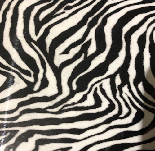 SEF Zebra