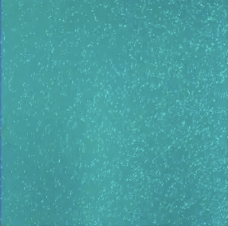 Skyltvinyl Juvelmetallic - Ark 30,5 x 50cm