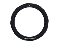 SCHWALBE ALBERT TRAIL PRO Evolution tire 29" 2,50" (63-622)
