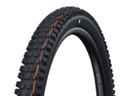 SCHWALBE ALBERT TRAIL PRO Evolution tire 29" 2,50" (63-622)