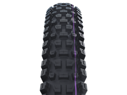 SCHWALBE ALBERT GRAVITY PRO Evolution tire 29" 2,50" (63-622)