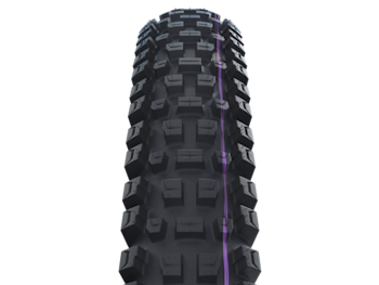 SCHWALBE ALBERT GRAVITY PRO Evolution tire 29" 2,50" (63-622)