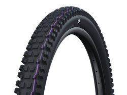 SCHWALBE ALBERT GRAVITY PRO Evolution tire 29" 2,50" (63-622)