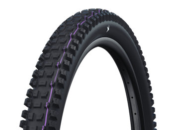 SCHWALBE ALBERT GRAVITY PRO Evolution tire 29" 2,50" (63-622)