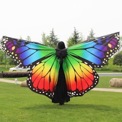 BUTTERFLY WING OMBRE