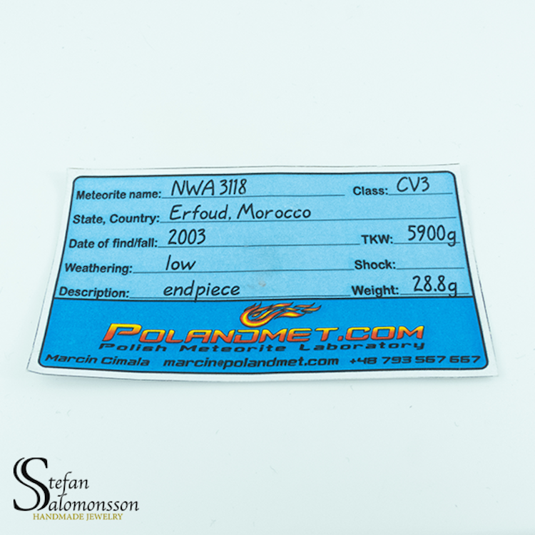 NWA 3118 28,8g