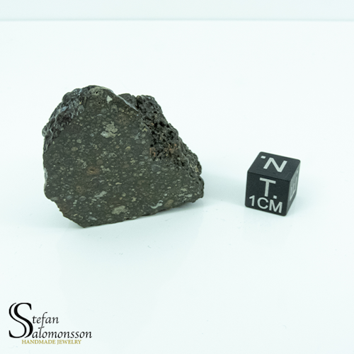 NWA 3118 28,8g