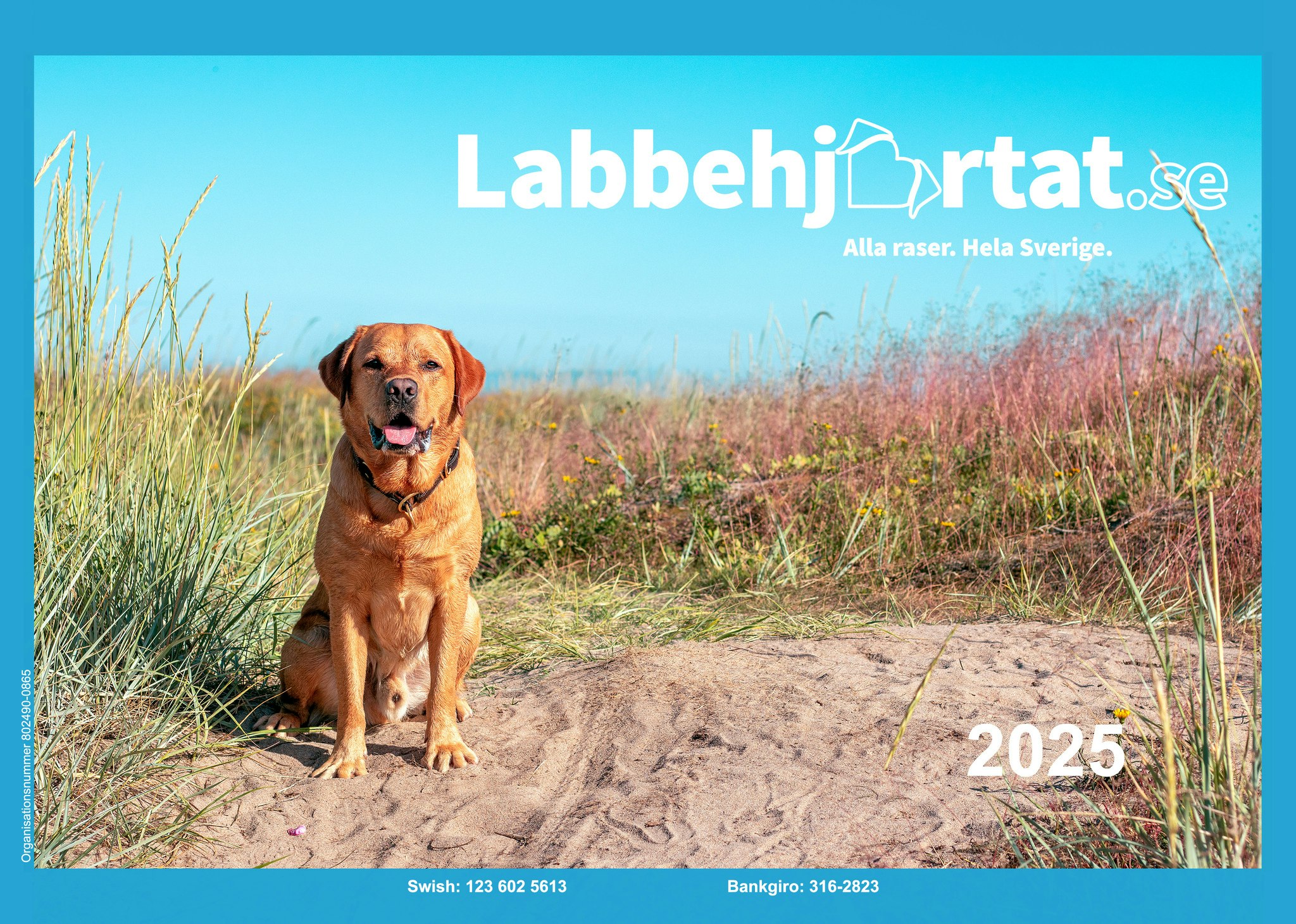 Kalender 2025