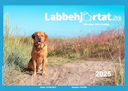 Kalender 2025