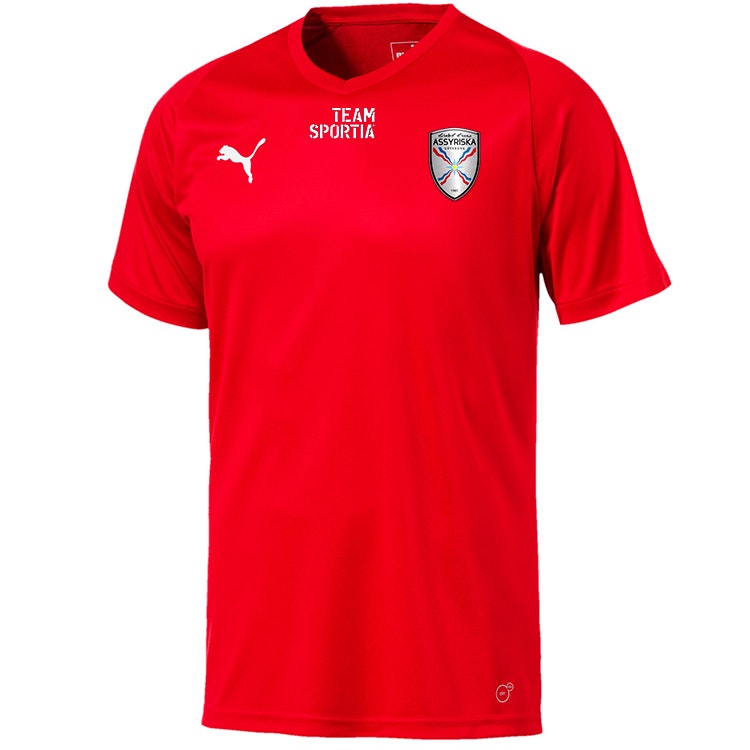 Assyriska BK Puma Tränings T-Shirt SR - Sport99.se