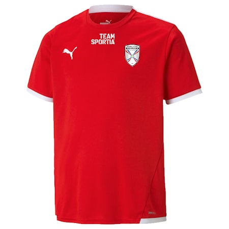 Assyriska BK Puma Tränings T-Shirt JR