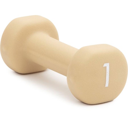 Abilica Dumbbell 1 kg