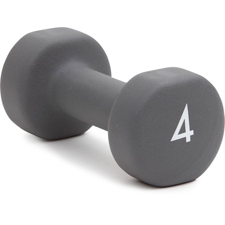 Abilica Dumbbell 4 kg