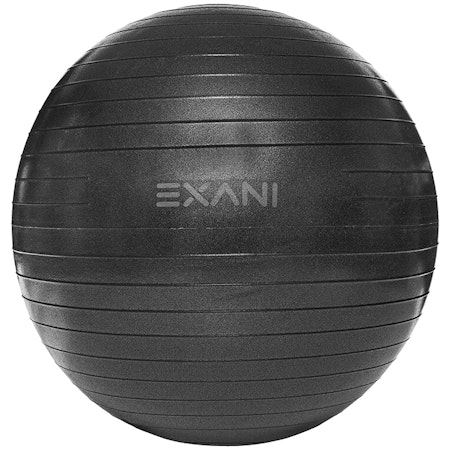 Exani Gym Ball