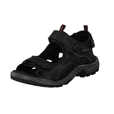 Ecco Andes II M Sandal