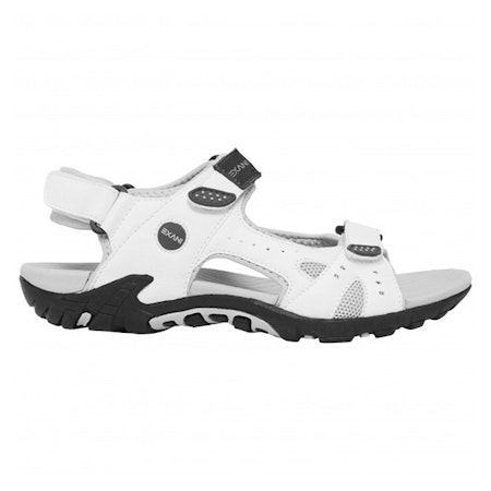 Exani Spider Pro W