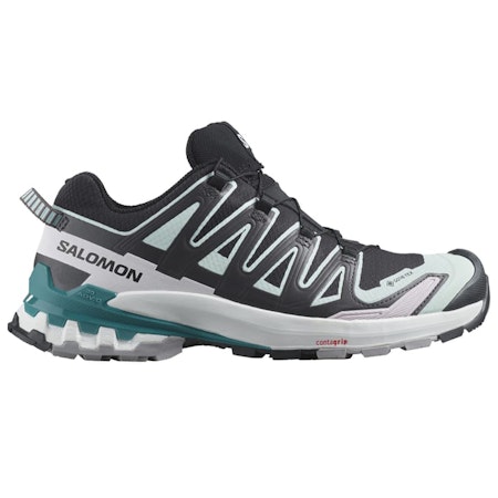 Salomon XA PRO 3D V9 GTX W