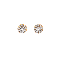 Lily and Rose - Petite Miss Sofia Earrings - Crystal ( Gold )