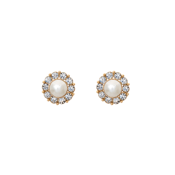 Lily and Rose - Miss Sofia pearl earrings - Ivory pearl gold