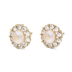 Lily and Rose - MISS SOFIA EARRINGS – OYSTER (GOLD)