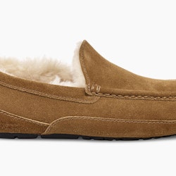 UGG - Ascot Slipper-Chestnut