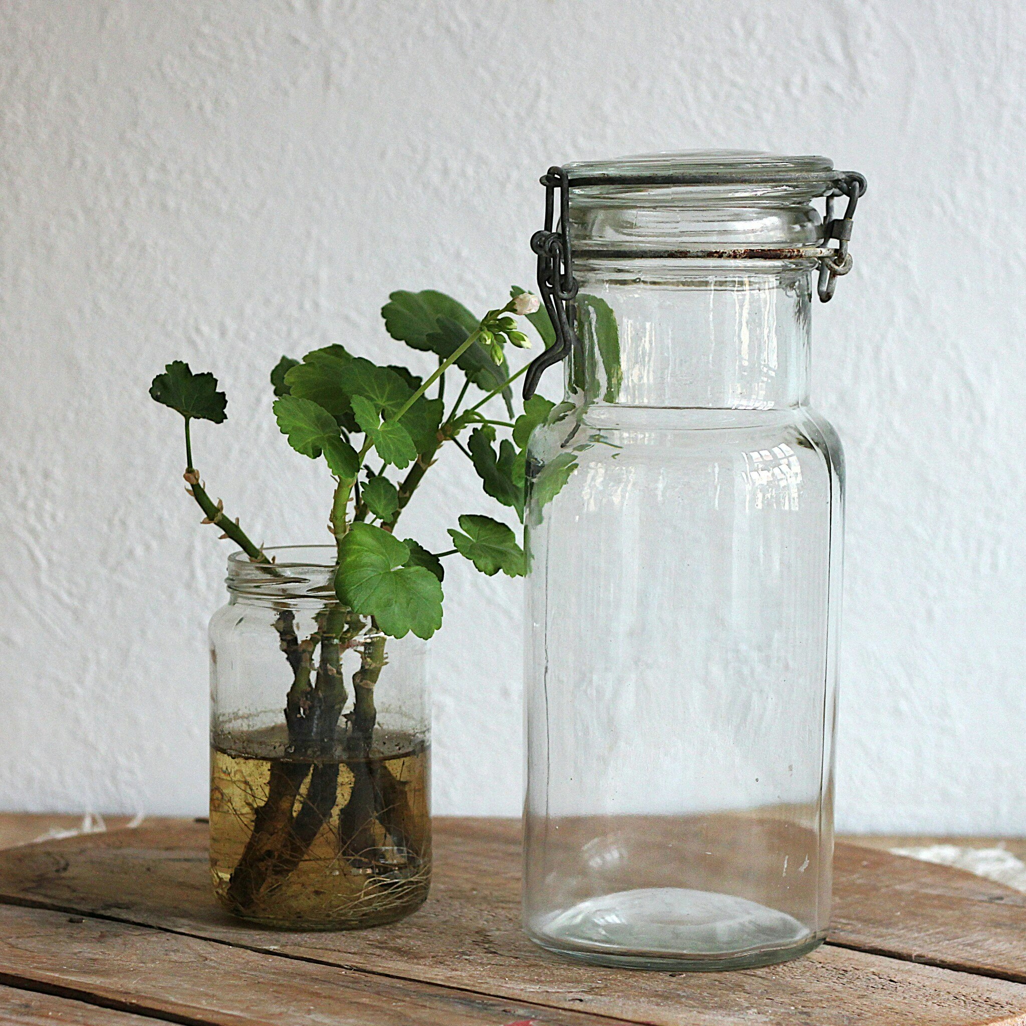 Glasburk - Förvaring 1.5liter