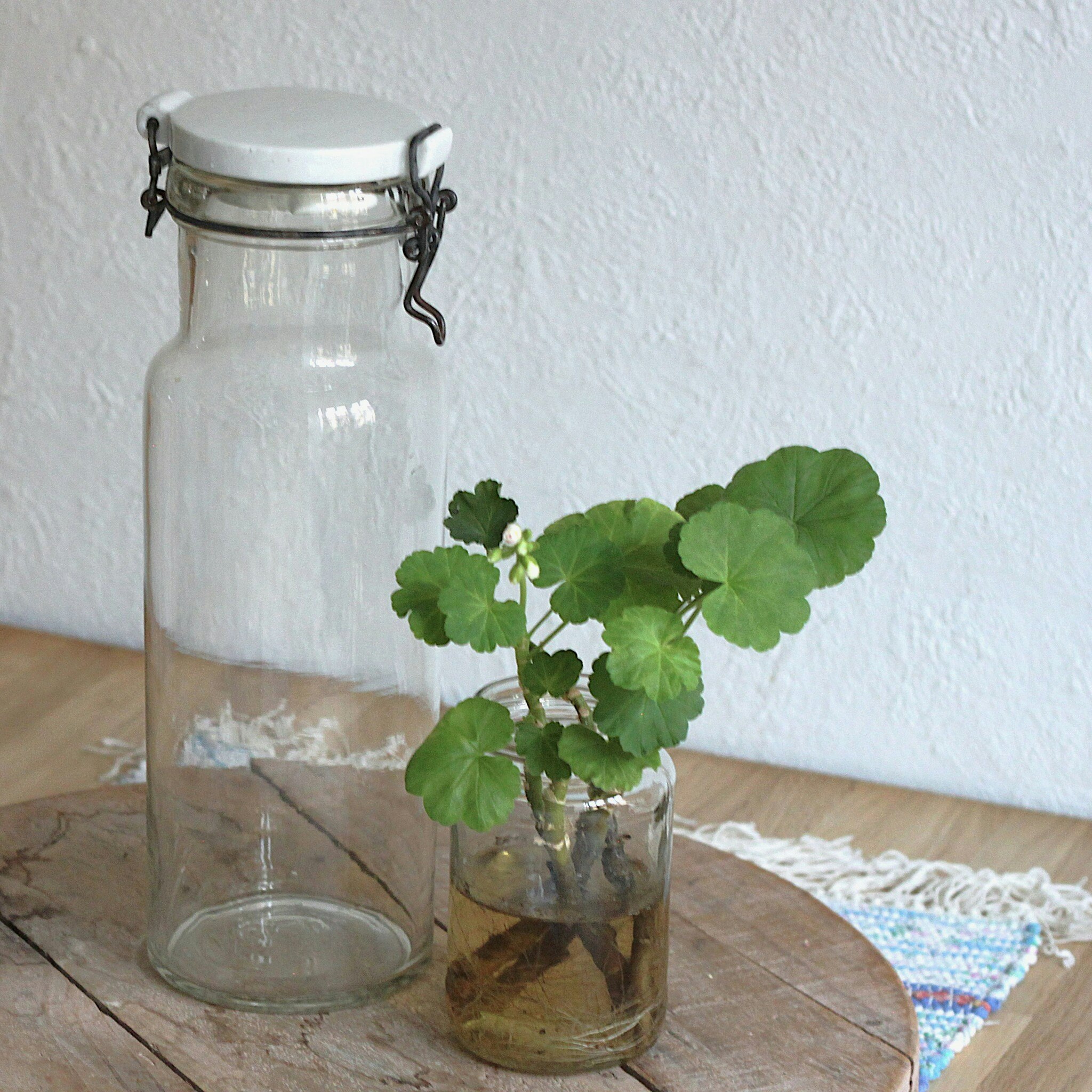 Glasburk - Förvaring med porslinslock 2liter