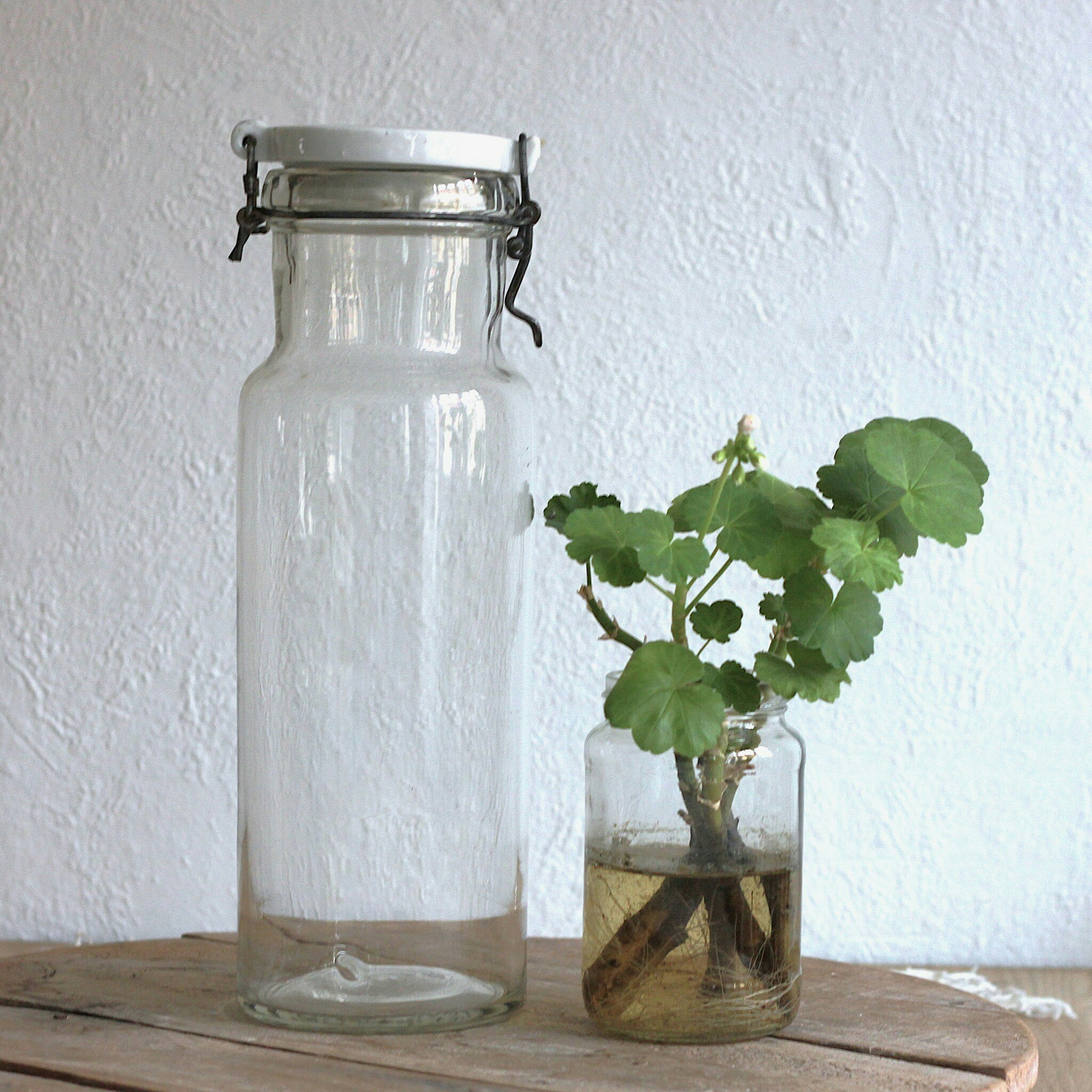 Glasburk - Förvaring med porslinslock 2liter