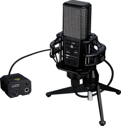 Lewitt DGT 650 USB Stereo Microphone
