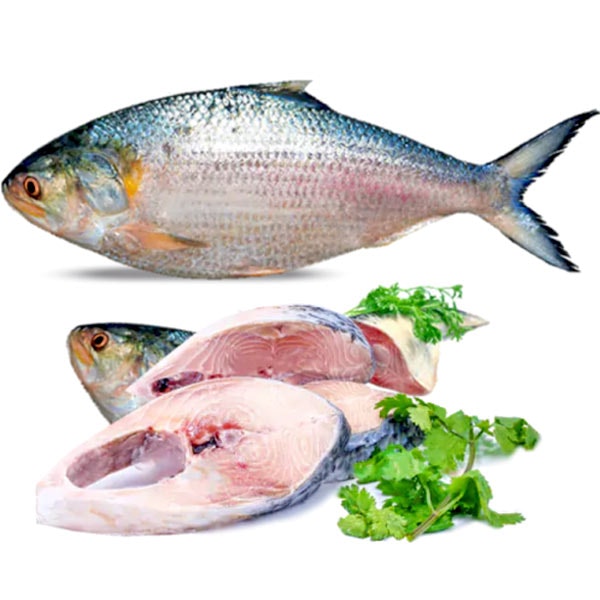 Hilsa Fish Hel (ইলিশ/Ilish) 500g/600g/700g ( ±50g) MEGA OFFER !!!