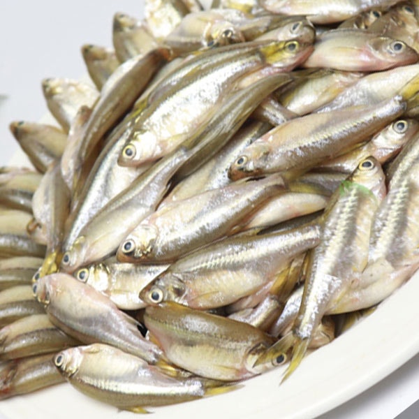Mola মলা Fish Block 250g