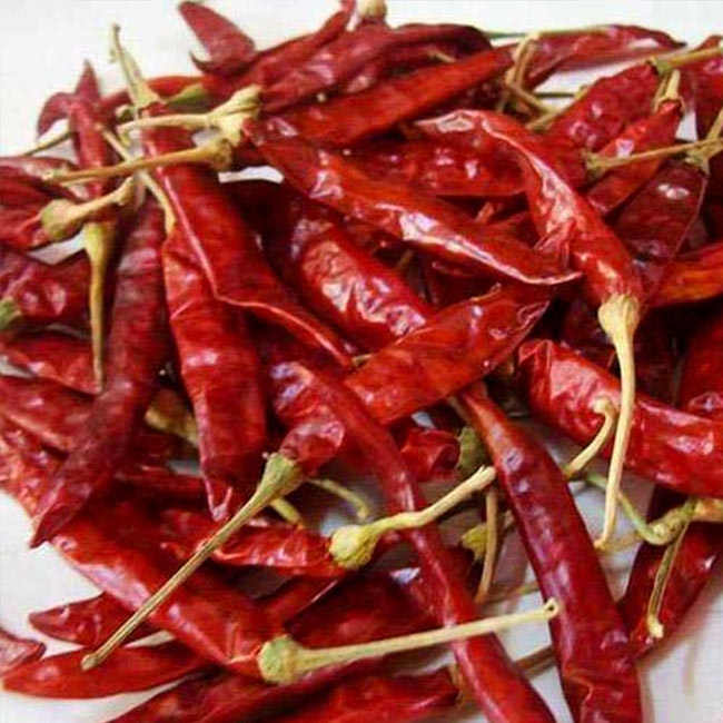 Chilli Whole Dried শুকনো মরিচ Chili Hel