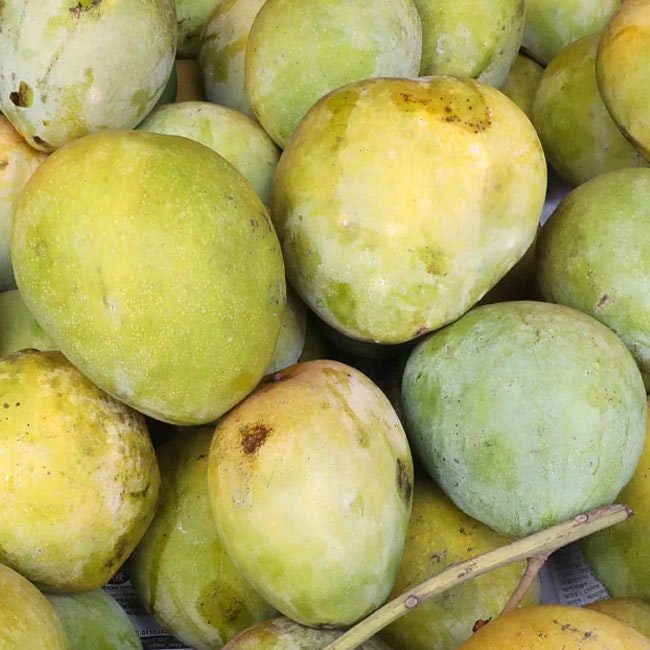 Mango Box Himsagar হিমসাগর আম 2.5 kg Gross Weight