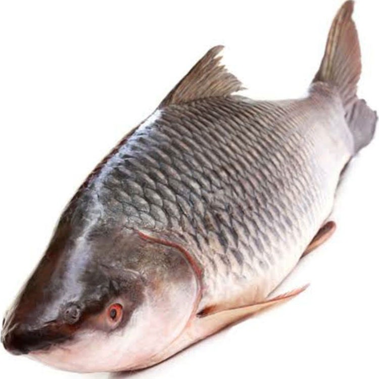 Ruhu রুই Rui Fish1.7kg+- 2.9Kg+ (±50g)