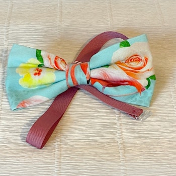 Fluga flamingo