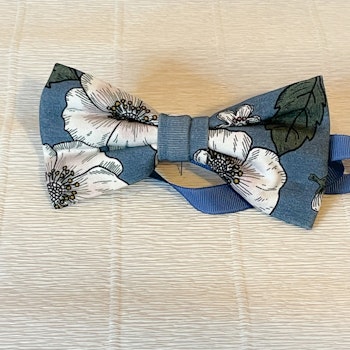 Fluga blomma blå