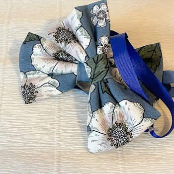 Fluga blomma blå