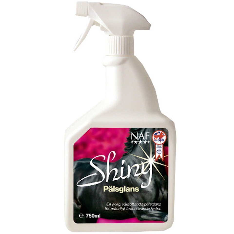 Shiny Spray 750 ml
