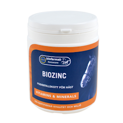 BioZinc 400 g