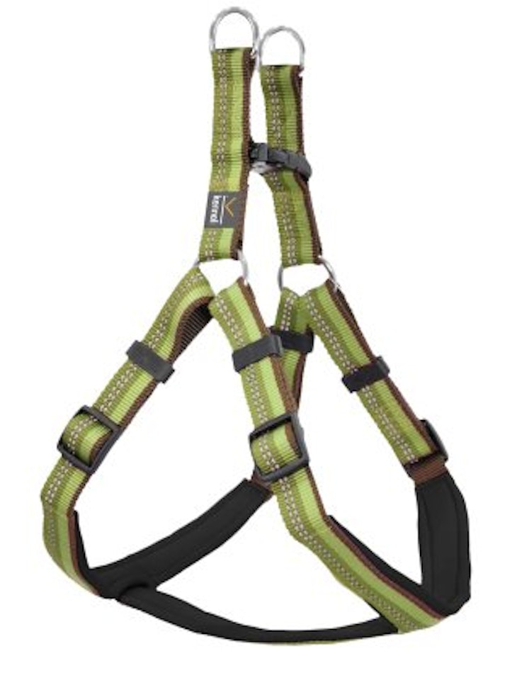 Dog Harness Step in Active