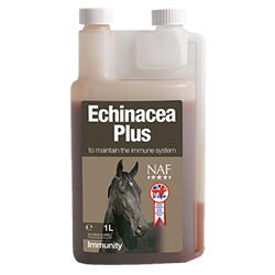 Echinacea Plus 1L