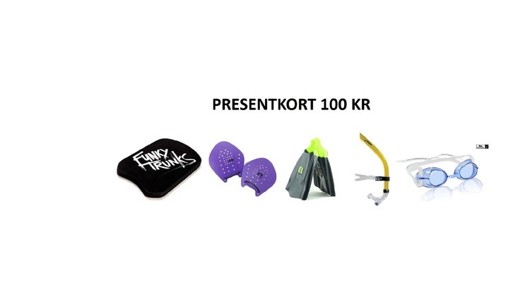 PRESENTKORT 100 kr