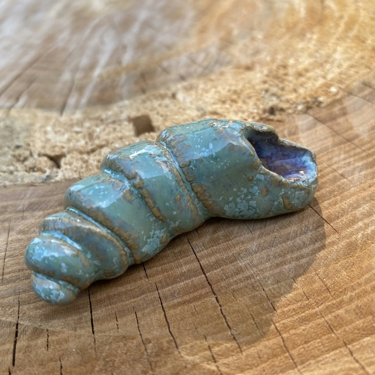 Väggsmycke fossil