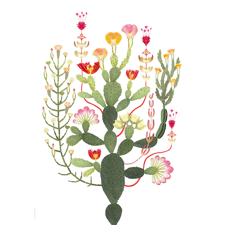 Poster Kaktusträd