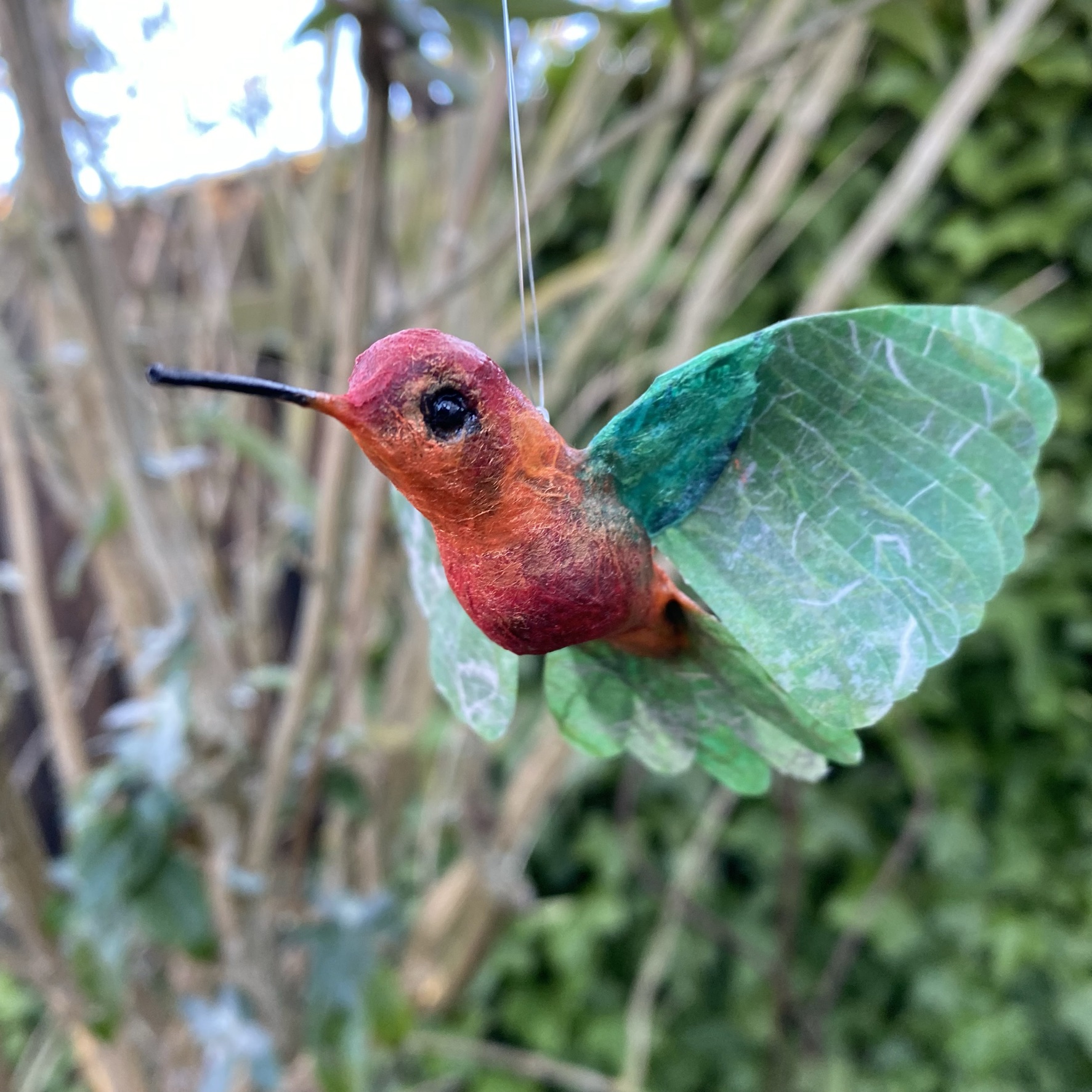 Kolibri rödgrön