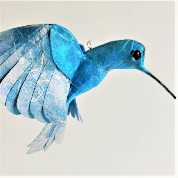 Kolibri turkos/blå