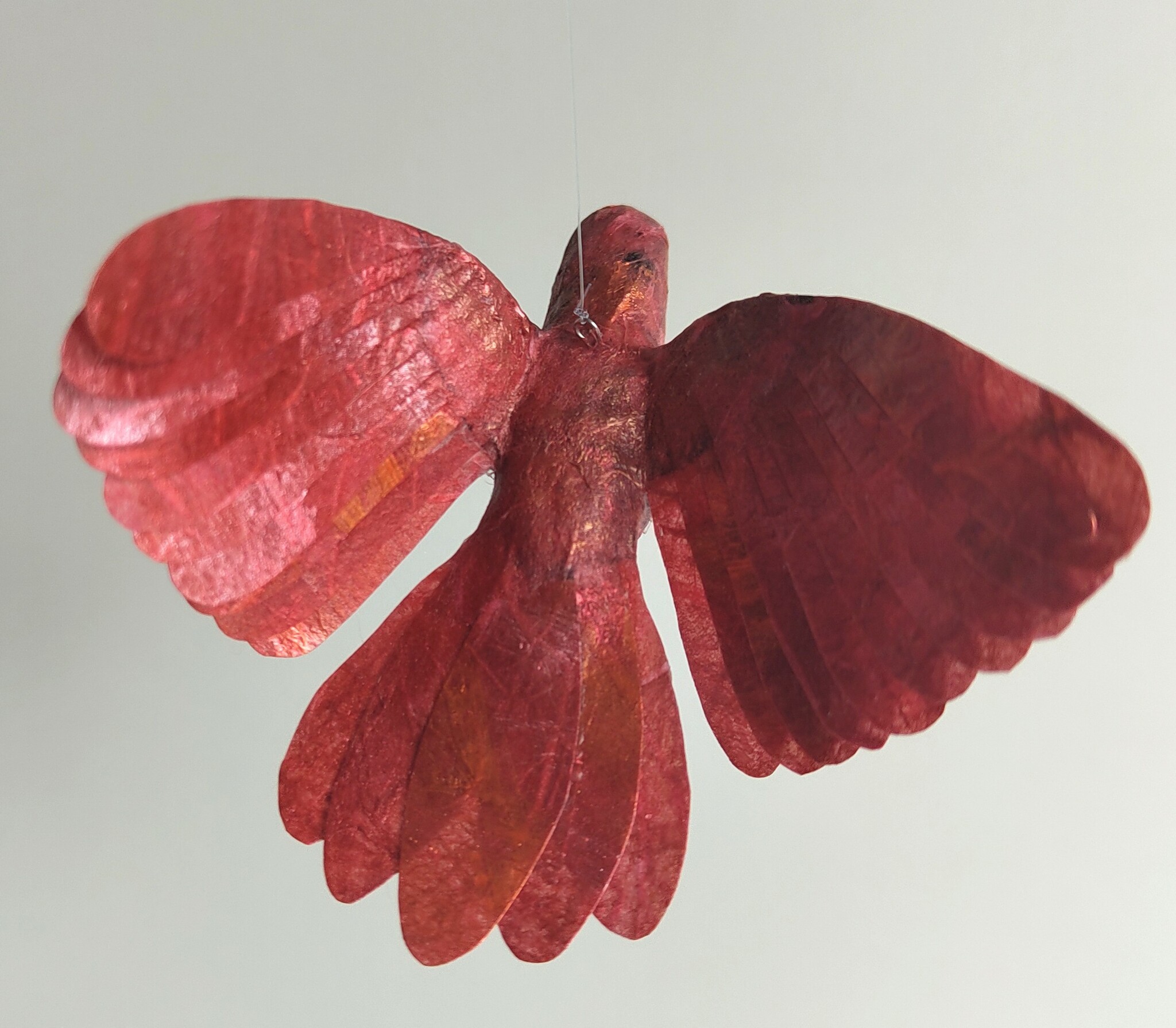 Kolibri röd
