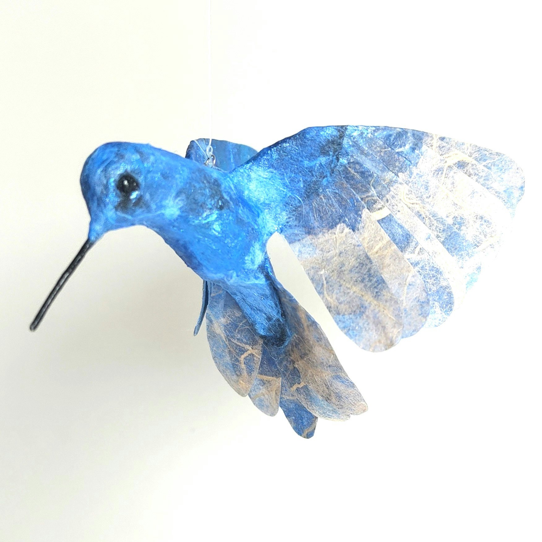 Kolibri blå