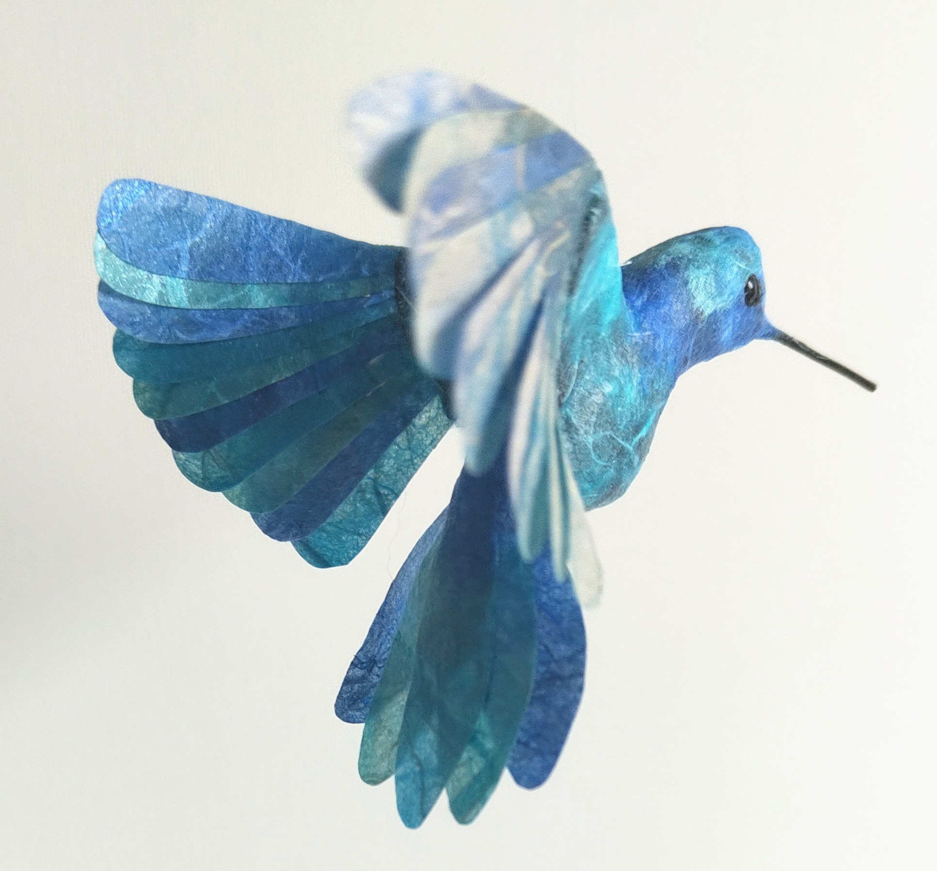 Kolibri blå