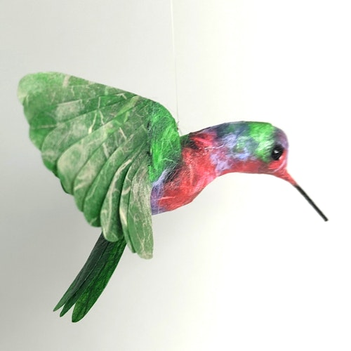 Kolibri grön/röd